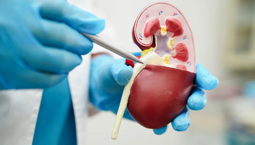 Expert Pediatric Urology Surgeon in Lucknow