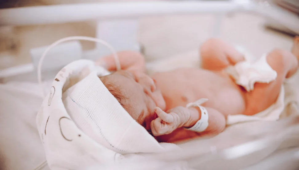 Multidisciplinary Neonatal Care